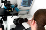 Someone looking into a microscope